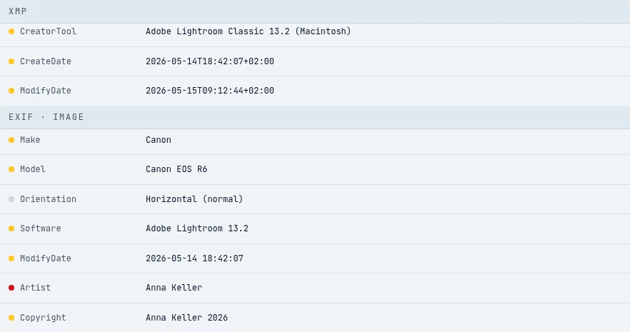 The XMP and EXIF Image groups in the metadata report listing the editing tool, dates, camera and author